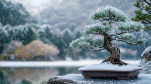 It's Time to Bring Your Bonsai Indoors